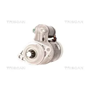 TRISCAN 8305 10021