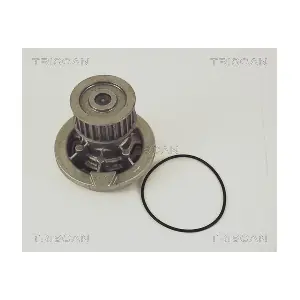 TRISCAN 860024001