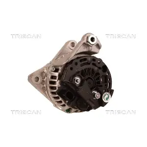 TRISCAN 8310 10020