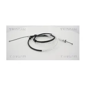 13711 TRISCAN