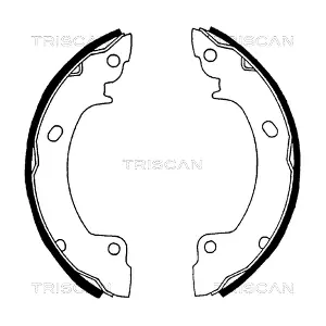 810043529 TRISCAN