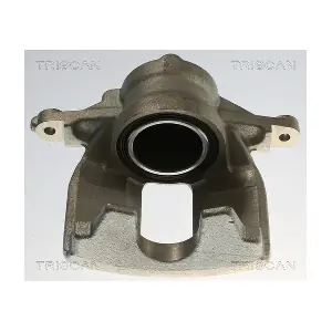 TRISCAN 8175 40121