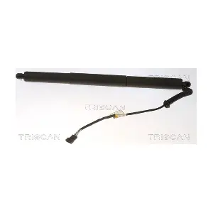 8710 11307 TRISCAN