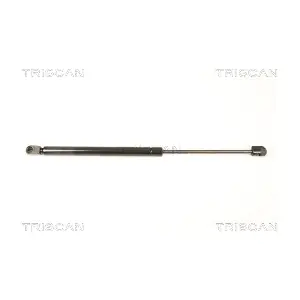 8710 43233 TRISCAN