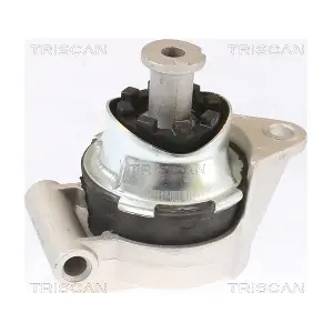 TRISCAN 8505 24117