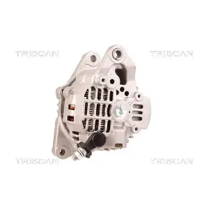 8310 43011 TRISCAN