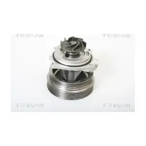 TRISCAN 860015014
