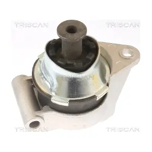 850524110 TRISCAN