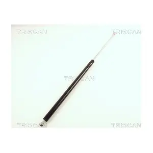 8710 38207 TRISCAN