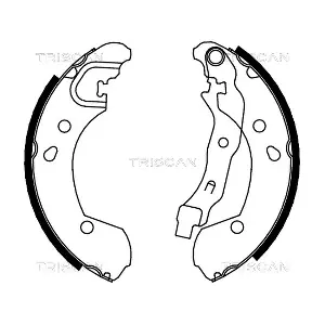 TRISCAN 810014002