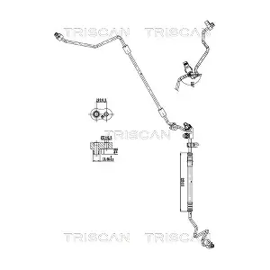9010 11009 TRISCAN