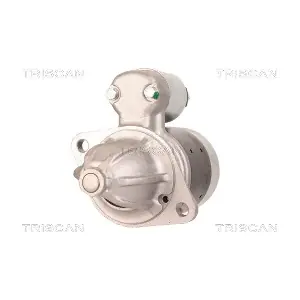 8305 10123 TRISCAN