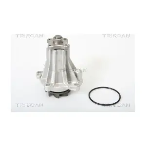 TRISCAN 860016919