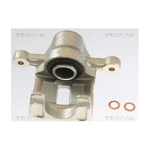 TRISCAN 8175 43206