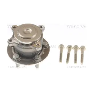 8530 24243 TRISCAN