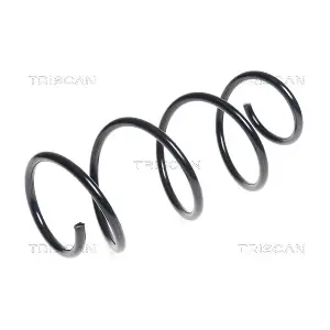 875025123 TRISCAN