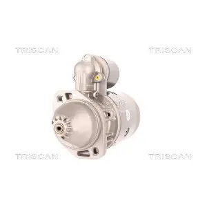 8305 10034 TRISCAN