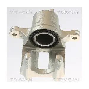 TRISCAN 8175 40201
