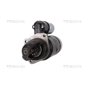 TRISCAN 8305 10096