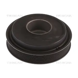 TRISCAN 8643 16006