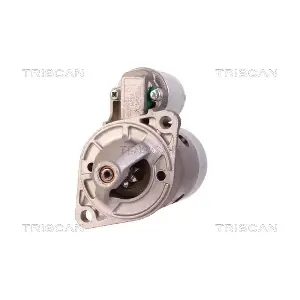 8305 10066 TRISCAN