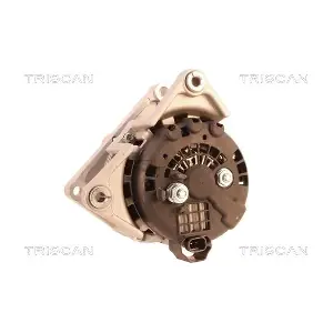 TRISCAN 8310 29063