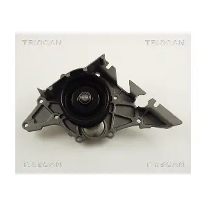 TRISCAN 860029029
