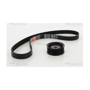 864216006 TRISCAN