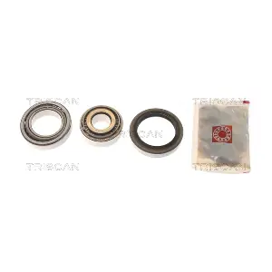TRISCAN 8530 20101