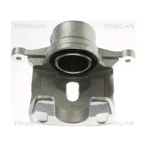 8175 43133 TRISCAN