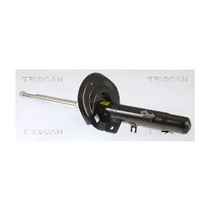 8705 28117 TRISCAN