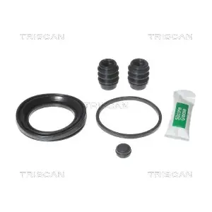 8170 205720 TRISCAN