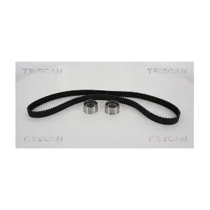 TRISCAN 8647 50019