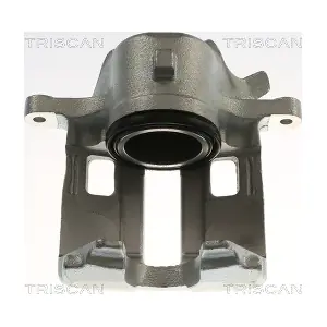 TRISCAN 8175 28114