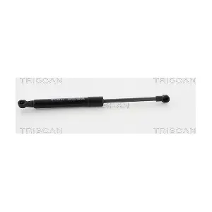 8710 11123 TRISCAN
