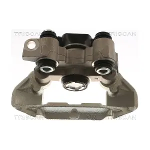 TRISCAN 8175 25209