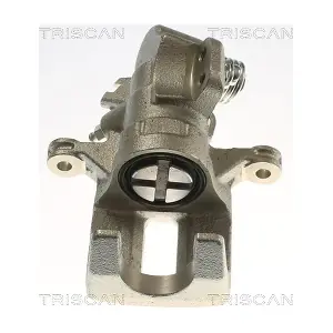 TRISCAN 8175 40228