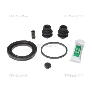 8170 205491 TRISCAN