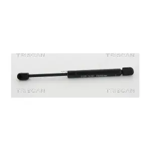 TRISCAN 8710 67206
