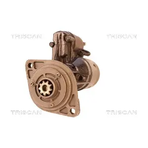 8305 10106 TRISCAN