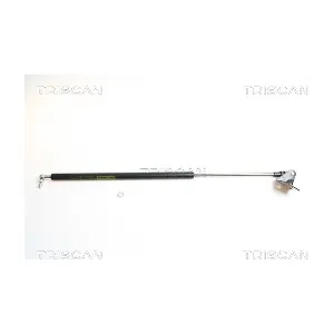 462005 TRISCAN