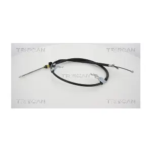8140.131166 TRISCAN