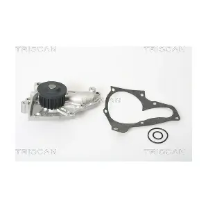 860013870 TRISCAN