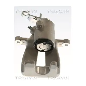 TRISCAN 8175 29205