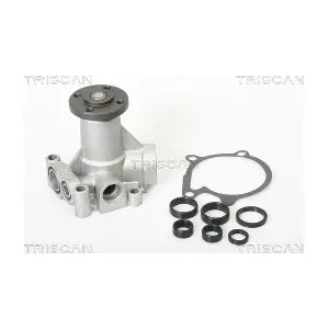 860027101 TRISCAN