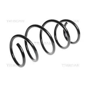 875013161 TRISCAN