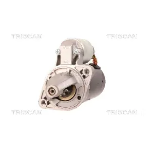 TRISCAN 8305 24005