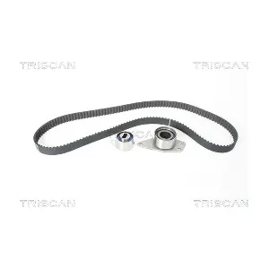 TRISCAN 8647 25012