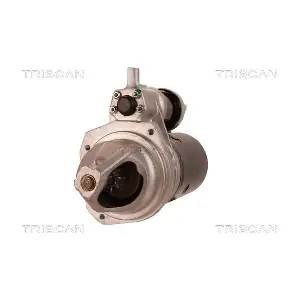 TRISCAN 8305 29045