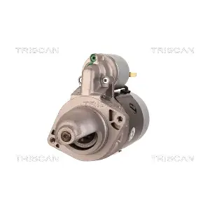 TRISCAN 8305 29043